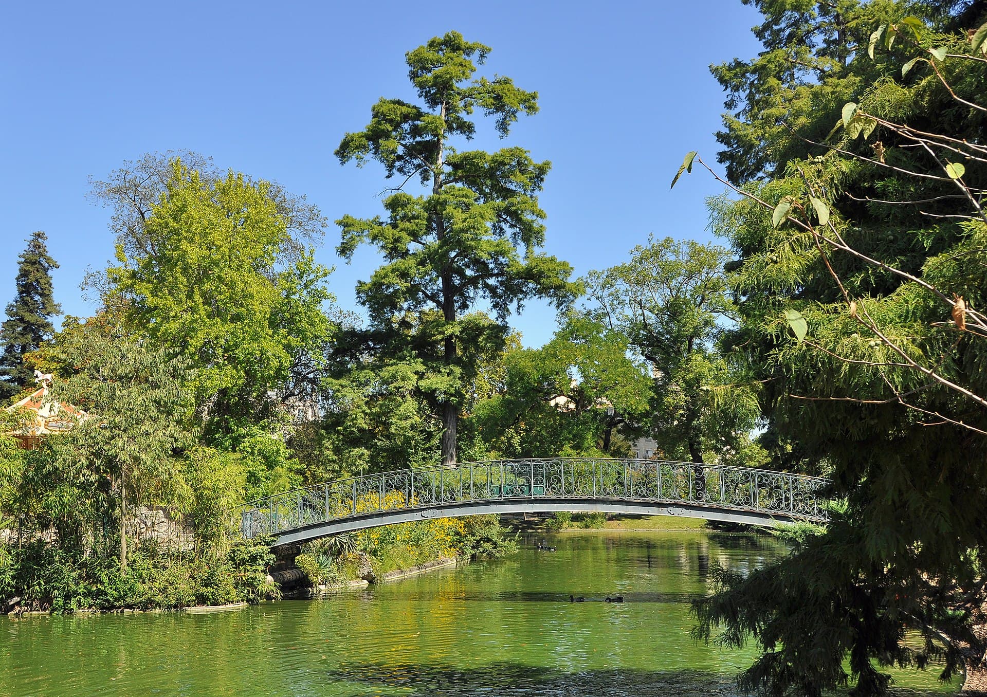 Grands arbres du Jardin public à Bordeaux